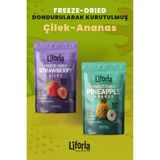 2’li Dondurularak Kurutulmuş Kuru Meyve - Sağlıklı Atıştırmalık - Çilek ve Ananas Kurusu Freeze Dried - 40 gr