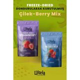 2’li Dondurularak Kurutulmuş Kuru Meyve - Sağlıklı Atıştırmalık - Çilek ve Berry Mix Kurusu Freeze Dried - 40 gr