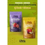 2’li Dondurularak Kurutulmuş Kuru Meyve - Sağlıklı Atıştırmalık - Çilek ve Elma Kurusu Freeze Dried - 40 gr