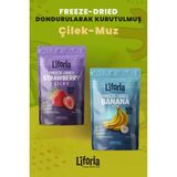 2’li Dondurularak Kurutulmuş Kuru Meyve - Sağlıklı Atıştırmalık - Çilek ve Muz Kurusu Freeze Dried - 40 gr