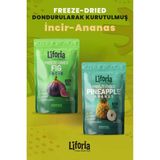 2’li Dondurularak Kurutulmuş Kuru Meyve - Sağlıklı Atıştırmalık - Incir ve Ananas Kurusu Freeze Dried - 40 gr