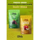 2’li Dondurularak Kurutulmuş Kuru Meyve - Sağlıklı Atıştırmalık - Incir ve Elma Kurusu Freeze Dried - 40 gr