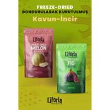 2’li Dondurularak Kurutulmuş Kuru Meyve - Sağlıklı Atıştırmalık - Kavun ve Incir Kurusu Freeze Dried - 40 gr