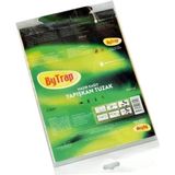 2'li Hazır Kağıt Fare Yapışkan Tuzak - Siyah