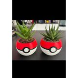 2'li Poketopu Kaktüs Saksı