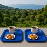 2'li Renkli Kırılmaz Plastik Kare Düz Kahve & Çay & Tatlı Sunum Tepsisi - Lacivert
