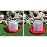 2'li Set 2 lt Suluk 2 kg Yemlik Tavuk Yemliği Suluğu Tavuk - Civciv