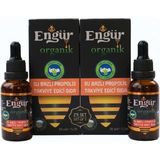 2li Set Engür Organik Su Bazlı Propolis 30 ml - 455 gr