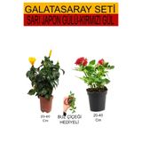 2'li Set Sarı Japon Gülü+kırmızı Gül+hediyelik Buz Çiçeği