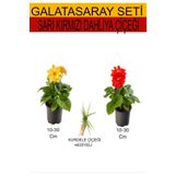 2'li Takım Seti Sarı- Kımrızı Dahliya Çiçeği+ Hediyelik Mini Kurdele Çiçeği