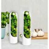 2’li Yeşillik Saklama Kabı Seti - Taze Tutan Herb Keeper Sebze Saklama Kapları