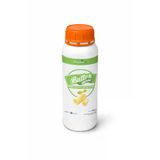 2M Proses Milk Proses Butter Arom Turuncu/ Tereyağ Aroması - 1 kg
