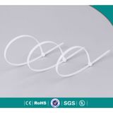 3.6 x 250mm 100 Adet Kablo Bağı 25cm Cırt Kelepçesi Kablo Bağı