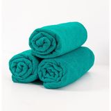 3 Adet 50 x 90 cm Mikrofiber El Yüz Kuaför Berber Spor Havlusu Leke ve Saç Boyası Tutmayan - Mint