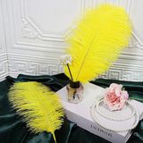 3 ADET BÜYÜK BOY 35 CM SARI DEVE KUŞU TÜYÜ VIP YELLOW OSTRICH FEATHER BÜYÜK DEKOR SARI KUŞ TÜYÜ