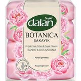 3 Adet Dalan Banyo Sabunu Botanica Şakayık 600 G