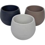 3 adet Plastik Sukulent Saksı Seti 0,13 lt Gizli Tabaklı Kaktüs ve Küçük Çiçek Saksısı 62 x 67 mm Krem Gri Kahverengi