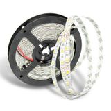 3 Çipli 3000K İç Mekan Şerit Led 12V