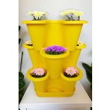 3 Katlı Şanslı Yonca Tasarımlı Dekoratif Saksı Seti, 26.5 x 26.5 cm, Çiçek ve Bitki Sebze Yetiştirme, Bahçe Salon Mutfak Saksı Seti (Sarı)