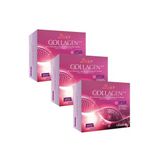 3 Kutu Collagen Tip 1,2,3 Kolajen L-Ornitin, Hyaluronik Asit Ve Vitamin C Içeren 30 Saşe 12100 Mg