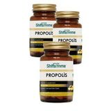3 Kutu Propolis Kapsül Aksu Vital Propolis Ekstrakt Kapsülü