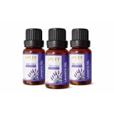 3 lü Avantajlı Set Lofty Lavanta Saf Uçucu Yağ (10ml) -%100 Doğal Esansiyel Yağ | Uyku, Rahatlama ve Aromaterapi İçin Buhurdanlık ve Difüzör Yağı