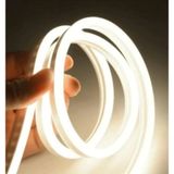 3 Metre Neon Günışığı 220 V Esnek Hortum Şerit Led Işık+ Fiş