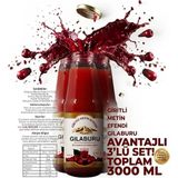 3 x 1000 ml Giritli Metin Efendi Gilaburu Suyu - 3 lt