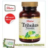 3 X Balen Tribulus Terrestris (Demir Dikeni) Kapsül