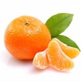 3 Yaş Aşılı Satsuma Mandalina Fidanı