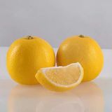 3 Yaş Tüplü ,Meyve Veren ,Tatlı (Şeker) Limon Fidanı Boy 130-150 Cm