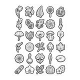 30 Adet Karakalem Botanik Çizim Sticker Seti - Ajanda Scrapbook Laptop İçin