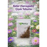 30 Adet Karışık Aster Çiçek Tohumu –Saraypatı Çiçeği Tohumu Renkli Mezarlık ve Bahçe İçin