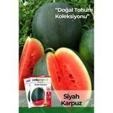 30 Adet Siyah/Kara Karpuz Tohumu