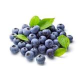 30 Adet Yaban Mersini Tohumu Blueberry Tohumu + Tohum