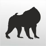 30 cm Orangutan Folyo Sticker