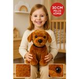 30 Cm Peluş Köpek Oyuncak – Yumuşacık Tüylü, Büyük Gözlü, Çocuk Odası Dekor & Hediye”