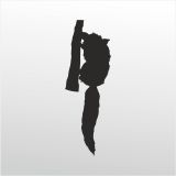 30 cm Rakun Folyo Sticker
