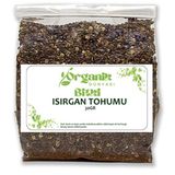 30 gr Isırgan Tohumu
