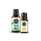 30 ml Limon Uçucu Buhurdanlık Koku Yağı, 10 ml Nane Yağı Hediyeli
