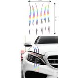 30 x 18 cm Pençe Sticker Araba Araç Oto Sticker Etiket Folyo Hologram