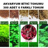 300 Adet 6 Farklı Akvaryum Bitkisi Tohumu + 10 Adet Karışık Gül Tohumu (Kargo Bedava) Orkıdey001853