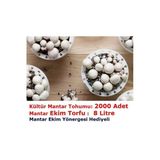 3000 Adet Beyaz Şapkalı Kültür Mantarı Tohumu + 13 Litre Mantar Ekim Torfu Ve Mantar Ekim Yönergesi