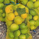 30X50 File Çuval Limon Filesi (25 Adet) Limon Ceviz Fındık Çuvalı