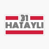 31 Hataylı Plaka Araba Sticker Yapıştırması