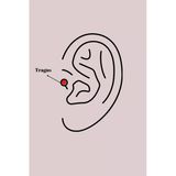 316L Çelik Gümüş Renk Zirkon Taşlı Toplu İğne Tragus Piercing -1492