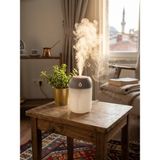 330 ml Ultrasonik Hava Nemlendirici Buhar Makinesi - Gri - Çok Renkli