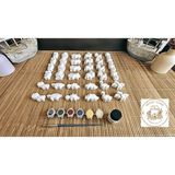 35 Adet (3d) Hayvanlar Alemi Taş Boyama Figür Çocuk Gelişimi Boyama Etkinlik Seti Zoo Stone Painting - Beyaz