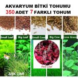 350 Adet 7 Farklı Akvaryum Bitkisi Tohumu + 10 Adet K.Gül Tohumu