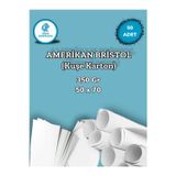 350 Gr. Amerikan Bristol Kağıt Karton 50x70 50 Adet (6,12 KG)